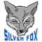 Yehud Silver Fox 2